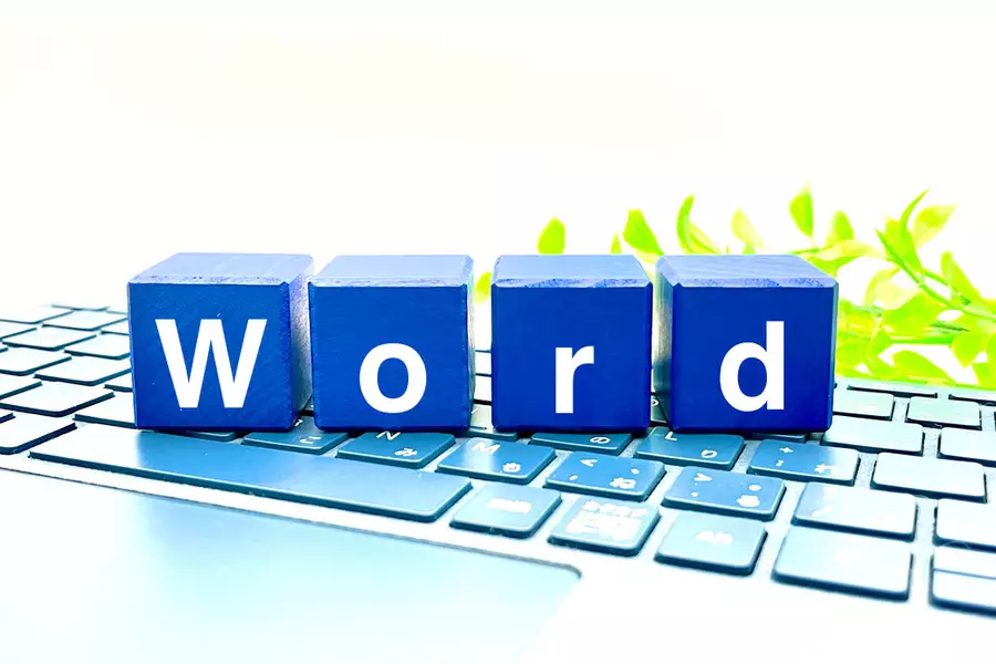 Mastering Your Word Document Formatting Image