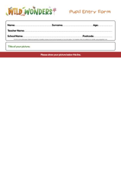 Pupil Entry Form Thumbnail