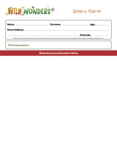 Entry Form Thumbnail